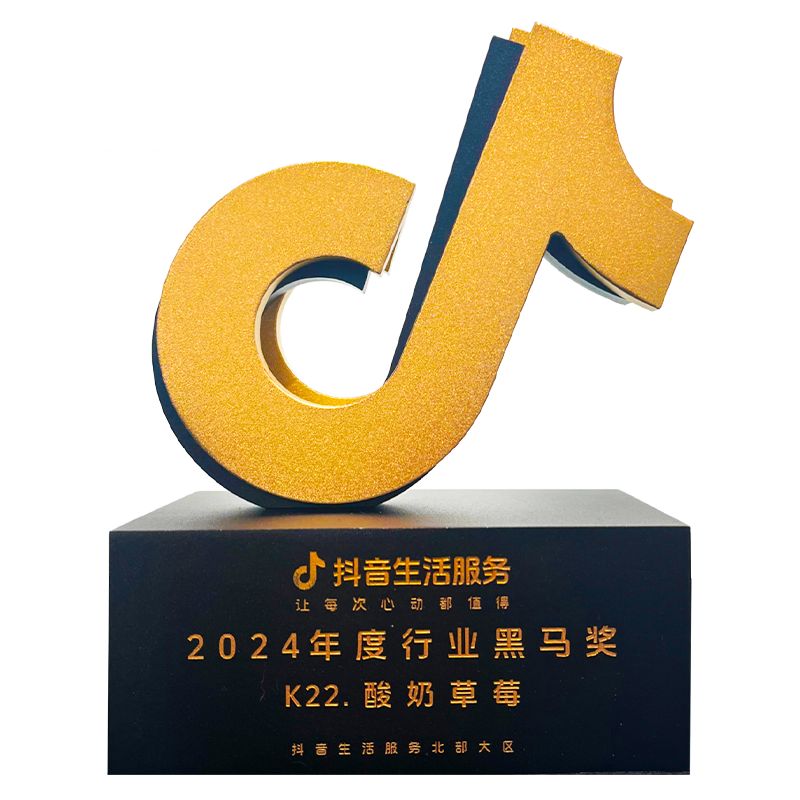 2024年度行业黑马奖